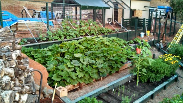 9719 Gary Dr, Browns Valley, CA 95918