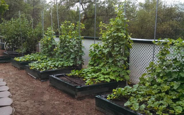 9719 Gary Dr, Browns Valley, CA 95918