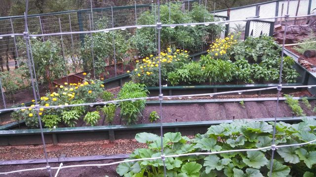 9719 Gary Dr, Browns Valley, CA 95918