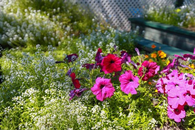 9719 Gary Dr, Browns Valley, CA 95918