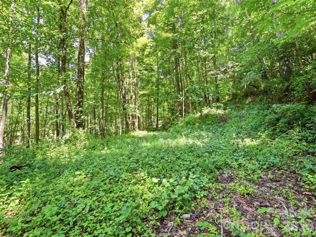 252 Big Stomp Road, Waynesville, NC 28786