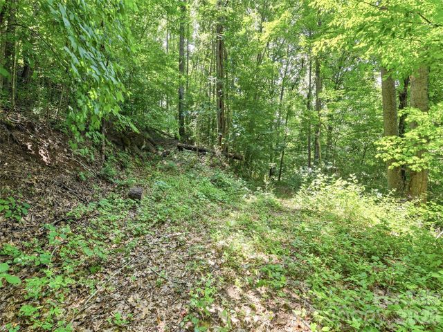 252 Big Stomp Road, Waynesville, NC 28786