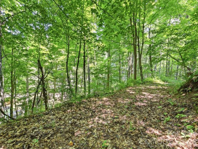 252 Big Stomp Road, Waynesville, NC 28786