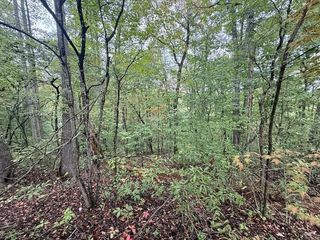 0 Tennis Center Drive, Smithville, TN 37166