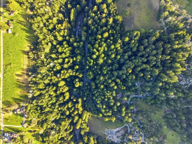 24580 Loma Prieta Avenue, Los Gatos, CA 95033