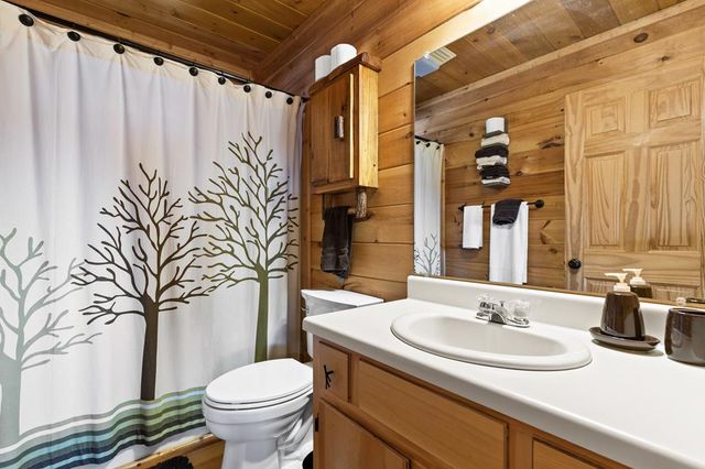 848 Maggie Chapman Road, Cherry Log, GA 30522