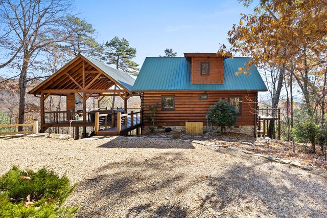 848 Maggie Chapman Road, Cherry Log, GA 30522