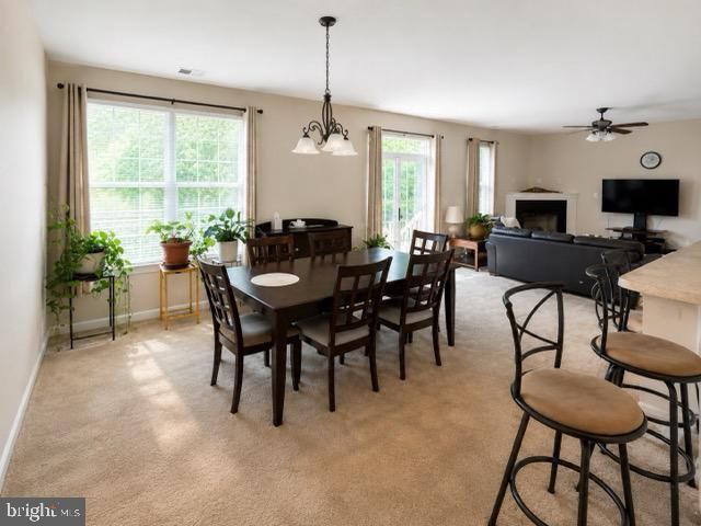 1302 TRICE MEADOWS CIR, Denton, MD 21629