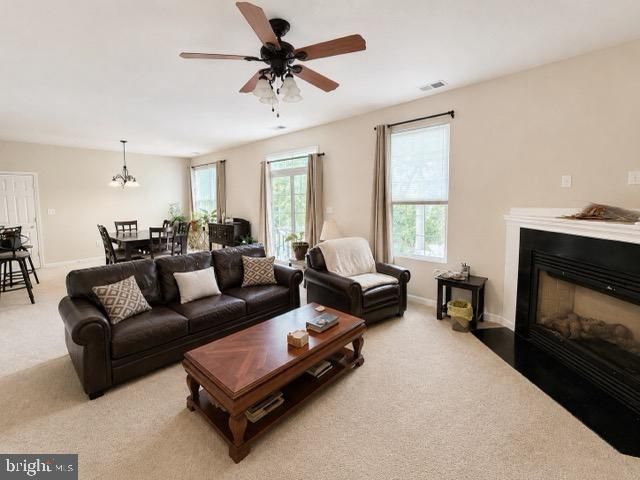 1302 TRICE MEADOWS CIR, Denton, MD 21629