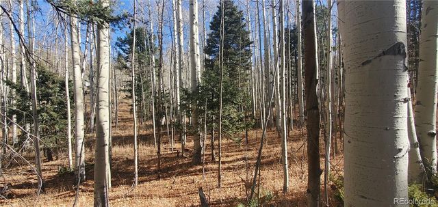 Lot 6060 Forbes Road, San Luis, CO 81152