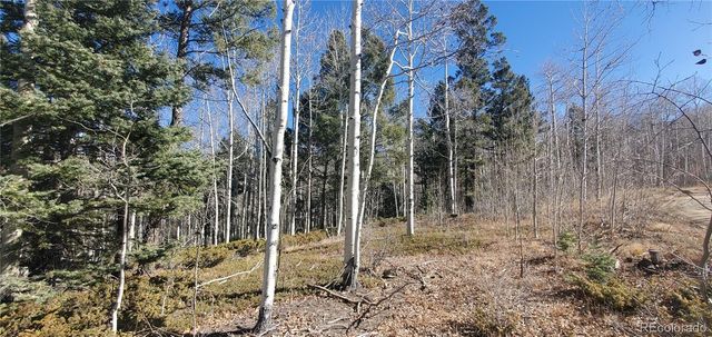 Lot 6060 Forbes Road, San Luis, CO 81152