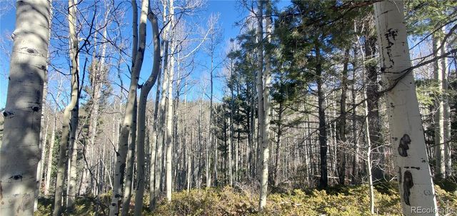 Lot 6060 Forbes Road, San Luis, CO 81152