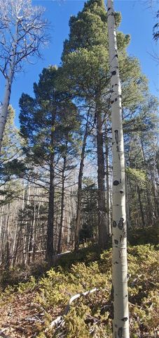 Lot 6060 Forbes Road, San Luis, CO 81152