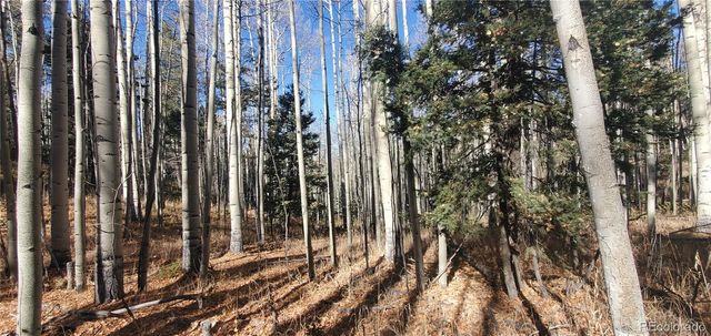 Lot 6060 Forbes Road, San Luis, CO 81152