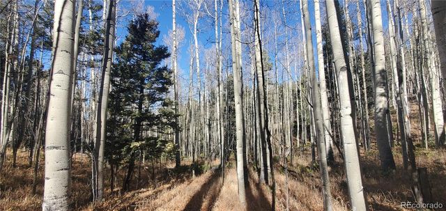 Lot 6060 Forbes Road, San Luis, CO 81152