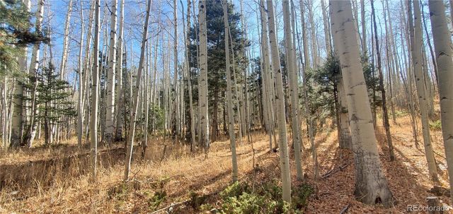 Lot 6060 Forbes Road, San Luis, CO 81152