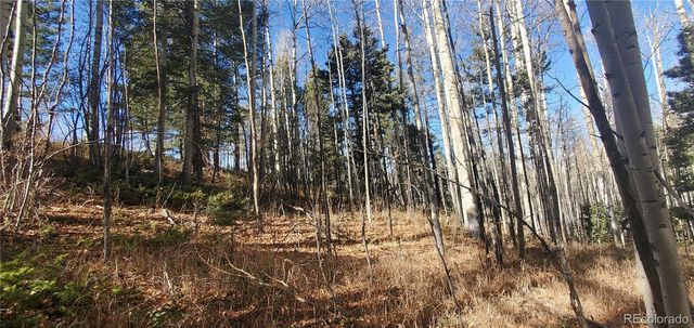 Lot 6060 Forbes Road, San Luis, CO 81152