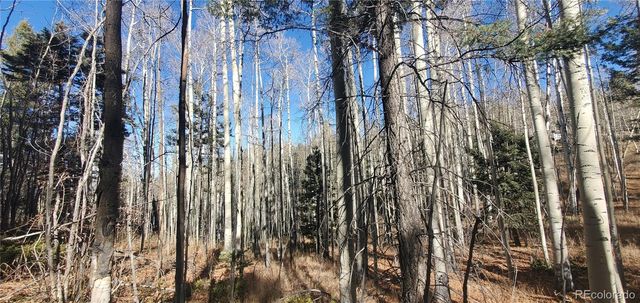 Lot 6060 Forbes Road, San Luis, CO 81152