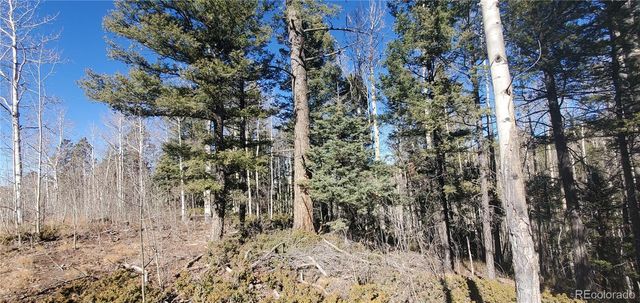 Lot 6060 Forbes Road, San Luis, CO 81152