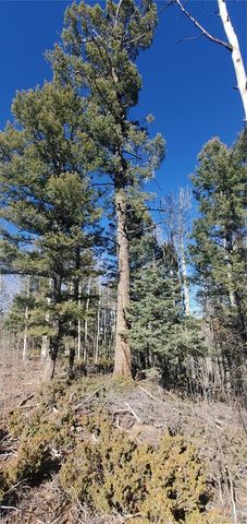 Lot 6060 Forbes Road, San Luis, CO 81152