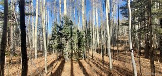 Lot 6060 Forbes Road, San Luis, CO 81152