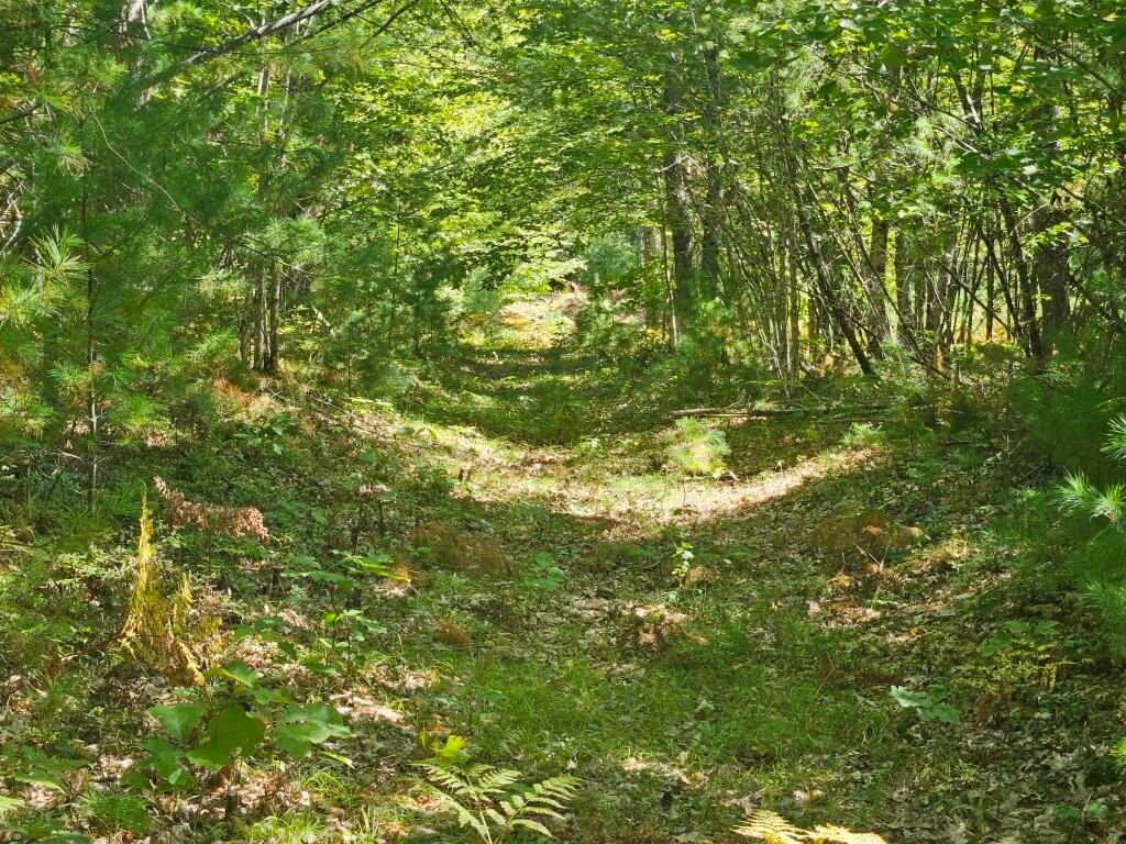 Lot 9 Pequawket Trail, Standish, ME 04084 — exterior