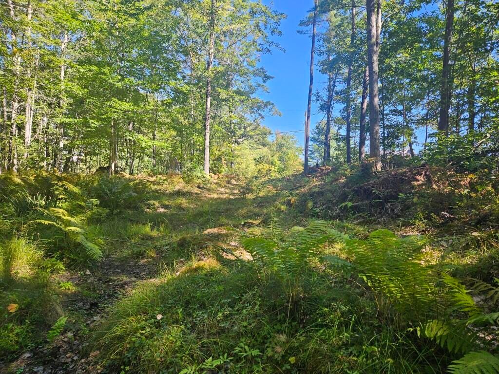 Lot 9 Pequawket Trail, Standish, ME 04084 — photo 3