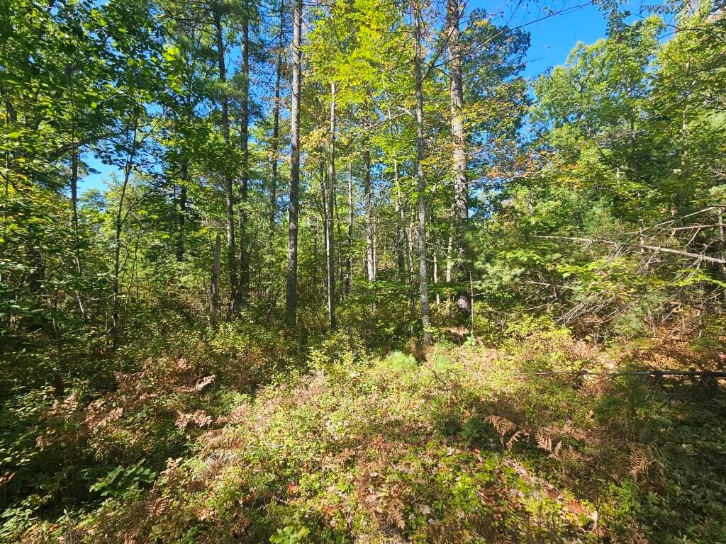 Lot 9 Pequawket Trail, Standish, ME 04084 — photo 4
