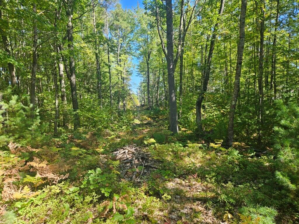 Lot 9 Pequawket Trail, Standish, ME 04084 — photo 5