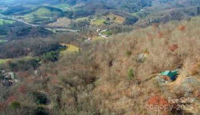 Lot 14 Bernies Trail 14, Waynesville, NC 28785