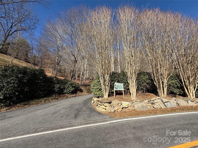 Lot 14 Bernies Trail 14, Waynesville, NC 28785