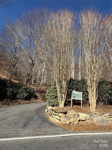 Lot 14 Bernies Trail 14, Waynesville, NC 28785