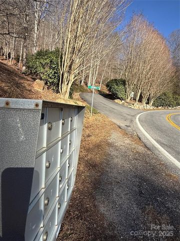 Lot 14 Bernies Trail 14, Waynesville, NC 28785