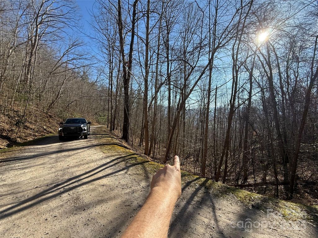Lot 14 Bernies Trail 14, Waynesville, NC 28785