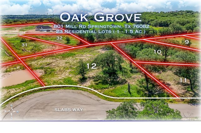 184 Oak Grove Way, Springtown, TX 76082
