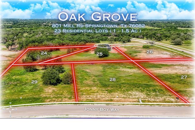 184 Oak Grove Way, Springtown, TX 76082