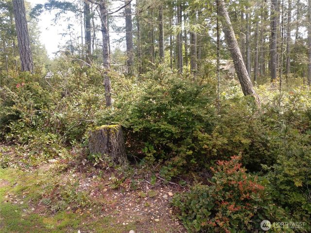 161 E Blackberry Lane, Union, WA 98592