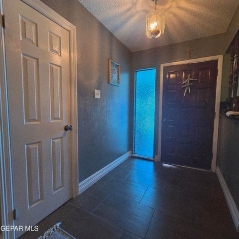 1516 OPOSSUM Circle, Horizon City, TX 79928