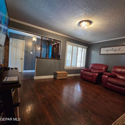 1516 OPOSSUM Circle, Horizon City, TX 79928