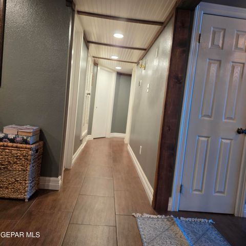 1516 OPOSSUM Circle, Horizon City, TX 79928