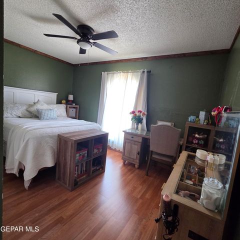1516 OPOSSUM Circle, Horizon City, TX 79928