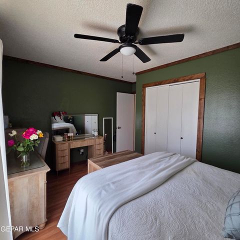 1516 OPOSSUM Circle, Horizon City, TX 79928