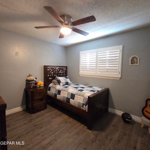 1516 OPOSSUM Circle, Horizon City, TX 79928