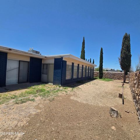 1516 OPOSSUM Circle, Horizon City, TX 79928