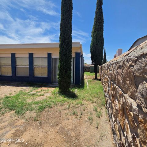 1516 OPOSSUM Circle, Horizon City, TX 79928