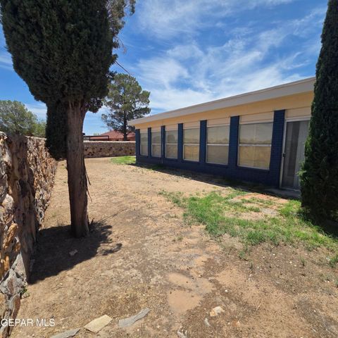 1516 OPOSSUM Circle, Horizon City, TX 79928