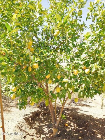 29107 N 154th Street, Scottsdale, AZ 85262