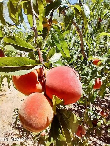 29107 N 154th Street, Scottsdale, AZ 85262