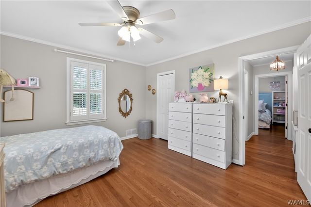 6 Buena, Tuscaloosa, AL 35404