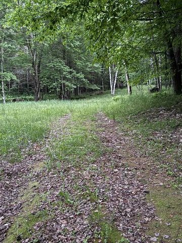 162 Channel Road, Tinmouth, VT 05773